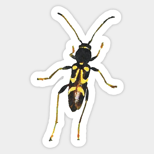 Round-necked Longhorn Beetle Sticker by Griffelkinn